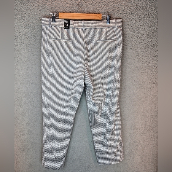 Amanda & Chelsea Womens Pants sz 14 Blue-White Railroad Stripe Modern Fit Ankle - Picture 6 of 10